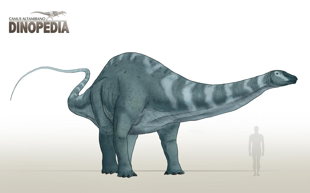 Apatosaurus ajax