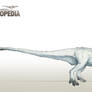 Leaellynasaura amicagraphica