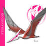 Pteranodon/Pterodactyl