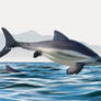 Acuetzpalin on Mexican seas