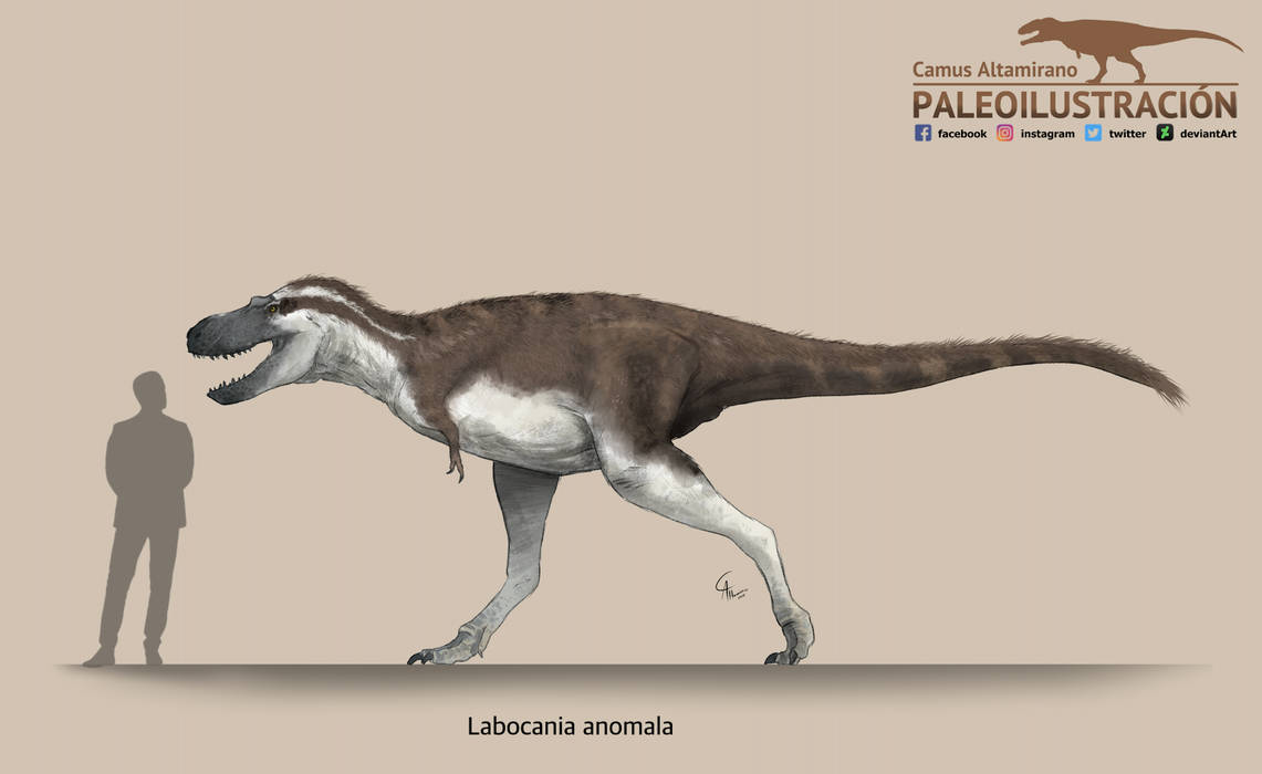 Labocaniia Labocania anomala by CamusAltamirano on DeviantArt