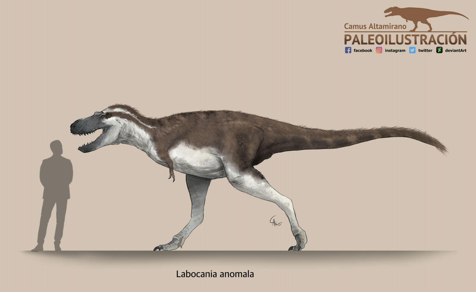 Labocania Labocania anomala by CamusAltamirano on DeviantArt