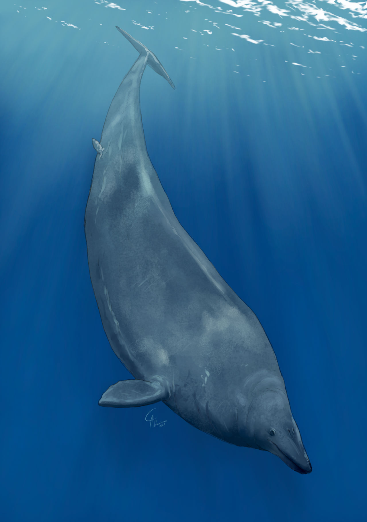 Perucetus Perucetus colossus by CamusAltamirano on DeviantArt