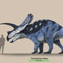 Torosaurus latus