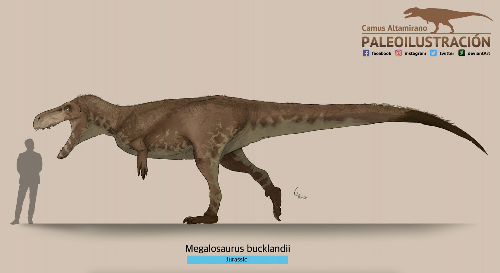 Megalosaurus bucklandii by CamusAltamirano on DeviantArt