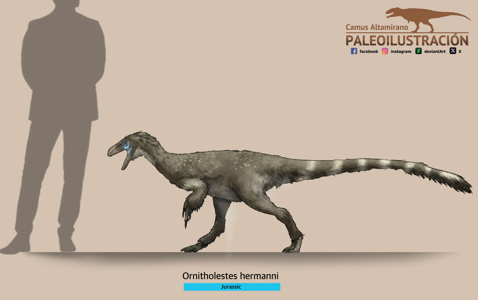 Hermanni Ornitholestes hermanni by CamusAltamirano on DeviantArt