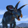 Torosaurus BOTM