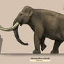 Mammuthus columbi