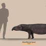 Moeritherium lyonsi