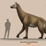 Borissiakia betpakdalensis