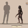 Australopithecus afarensis