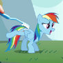 Dashie gets a toothbrush backrub