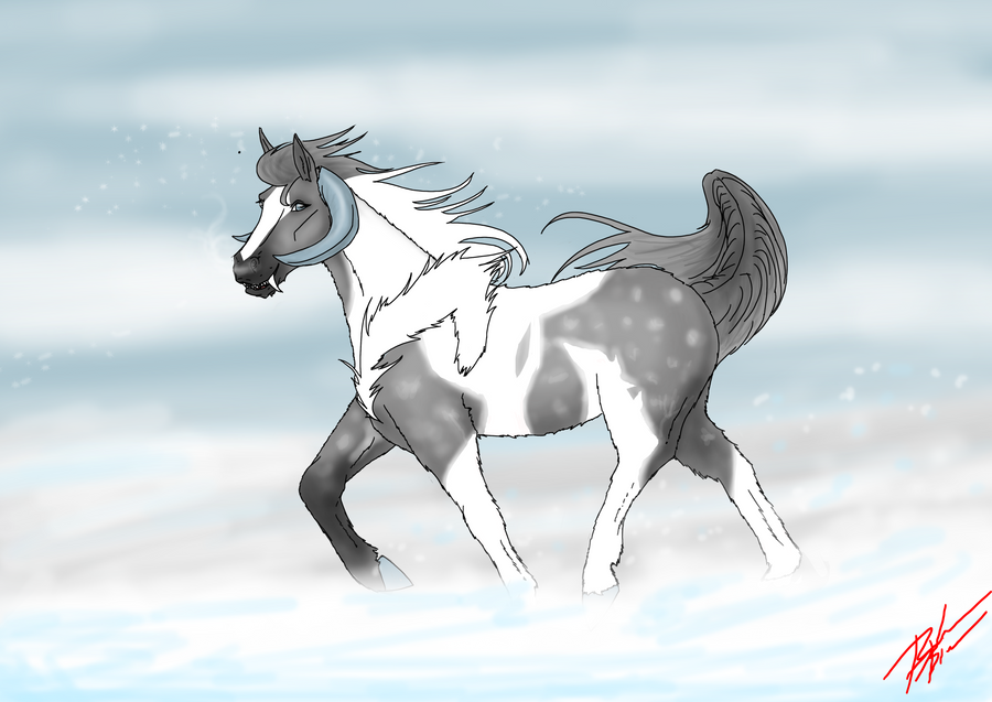 trotting in the snow