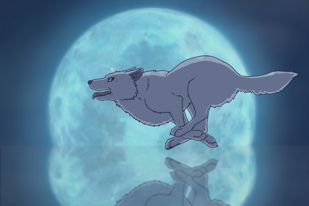 Wolf Moon Gif by ScreamingLama on DeviantArt Wolf Moon Gif by ScreamingLama on DeviantArt