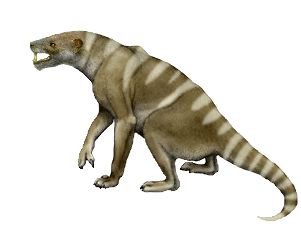 Afro Raptor Titan treasures - Afroraptor by GodzillaTokyoSOS on DeviantArt