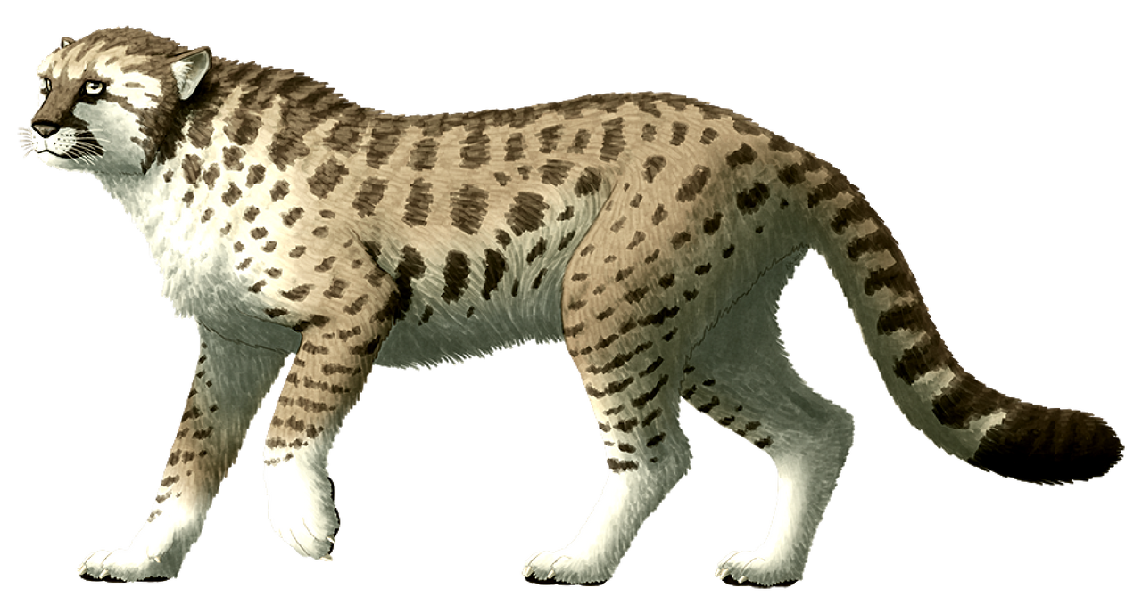 Titan treasures Alexander s Cheetah by GodzillaTokyoSOS on DeviantArt