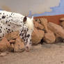 Leopard Horse 3