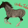 How to draw manes (Video tutorial!)
