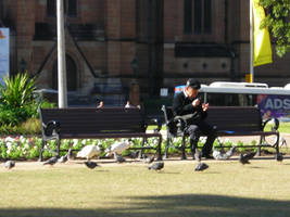 Feeding the Birds