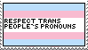 respect trans people's pronouns