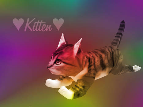 Kitten 8D