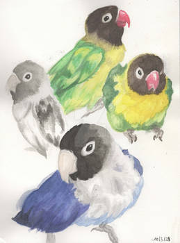 Watercolor - My Lovebirds 2