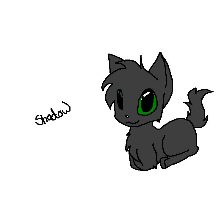 Simple Shadow Cat Shadow .:Kitten:. by Freeze-pop88 on DeviantArt