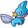 258. Mudkip