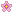 Cherry Blossom Icon