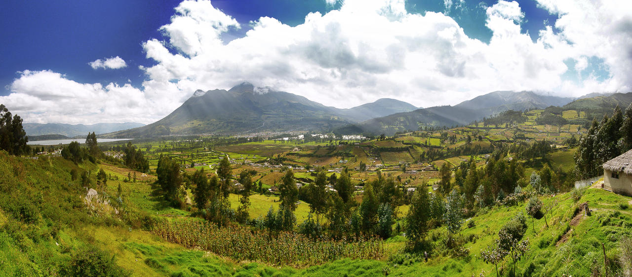 Andes Landscape