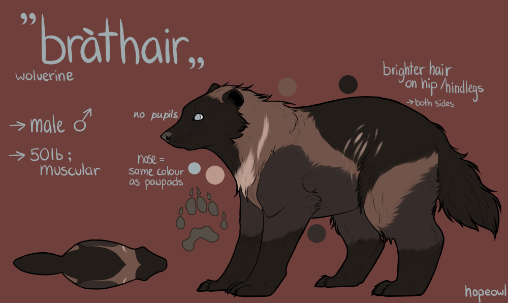 brathair (old sheet)