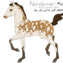 Foal# 5521