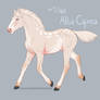 7364 Alba Caprea - Foal Design
