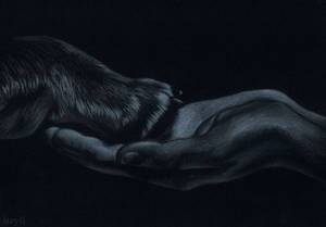 Untitled by steyfi Untitled by steyfi