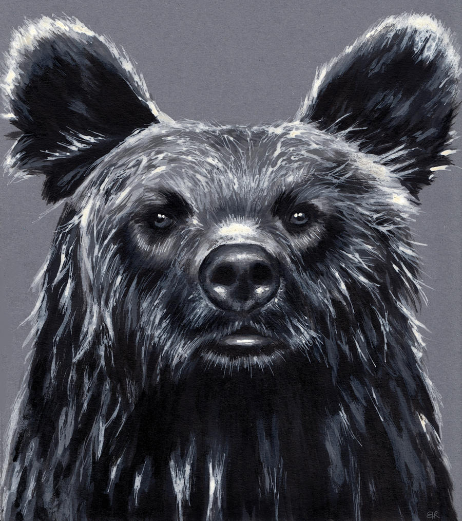 Bear