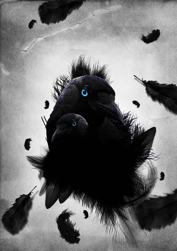 Crow Illustration by Creattive on DeviantArt