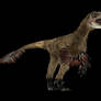 Dinosaur 3D model: Deinonychus