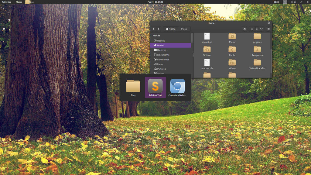 Ubuntu 13.04 - Gnome Shell 3.8 Screenshot