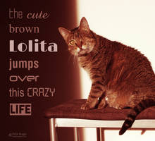 Lolita 002