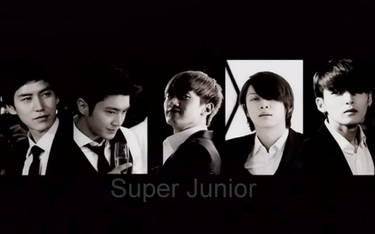 kyuwonhyukchulwook__SJ