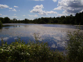 Craggside Lake