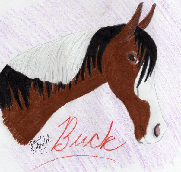 Buck by ChaosToGlory on DeviantArt