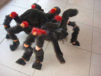 tarantula