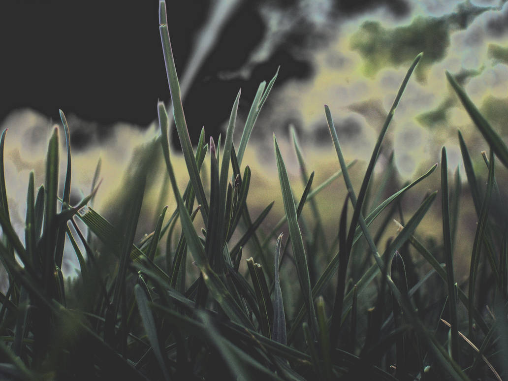 Grass_chrome by RedTwitch on DeviantArt