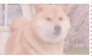 shiba inu stamp #4