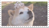 shiba inu stamp #8 by stratosqueer