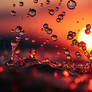 Splash o1