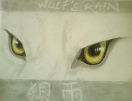 Wolf's Rain- Eyes