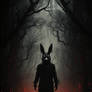 The Rabbit #7