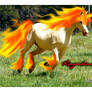 Rapidash Real